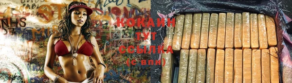 PSILOCYBIN Надым